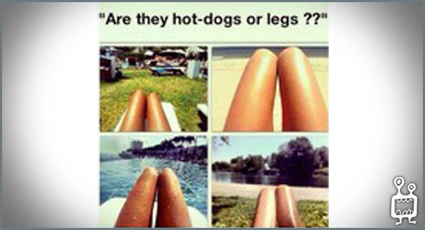 hotdogsorlegs-